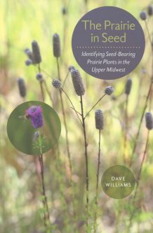 The Prairie in Seed: Identifying Seed-Bearing Prairie Plants in the Upper Midwest