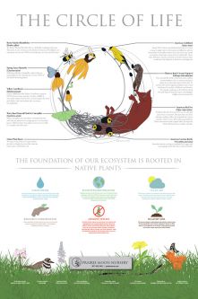 The Circle of Life Poster