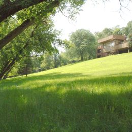 Eco-Grass