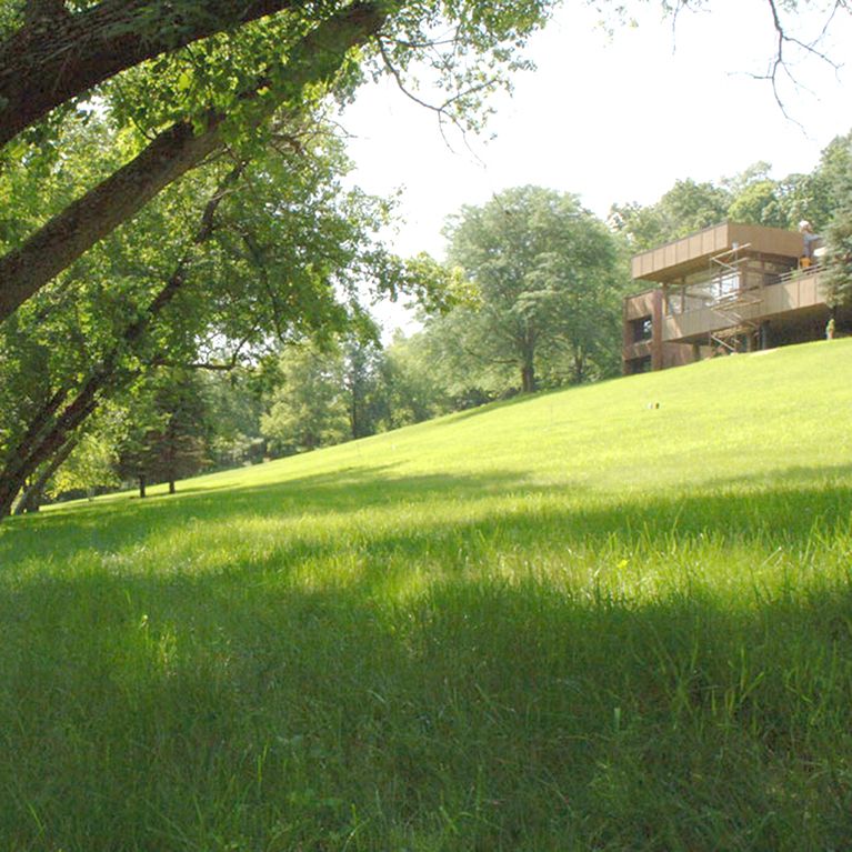 Eco-Grass